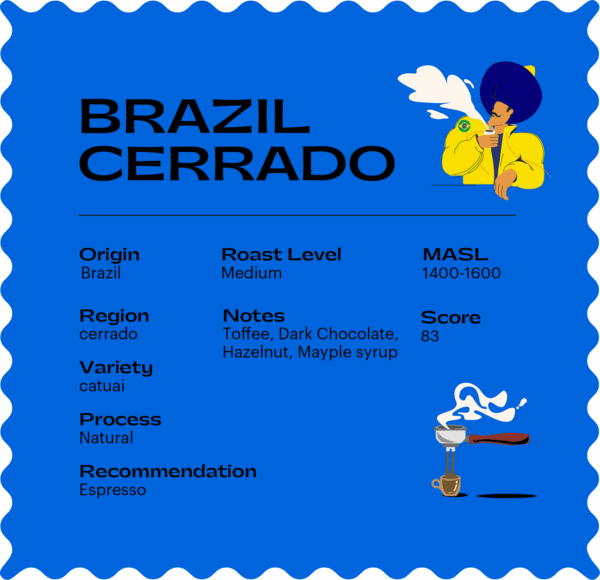 Brazil Cerrado (250 G) - Image 2